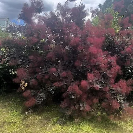 Le Charme Champetre Apartment *