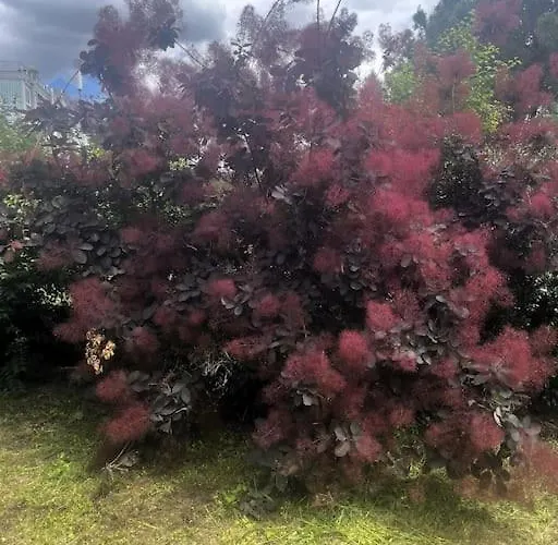 Le Charme Champetre Апартаменты *